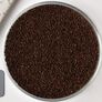 Confetti White, Hypoestes - 250 Seeds thumbnail number null